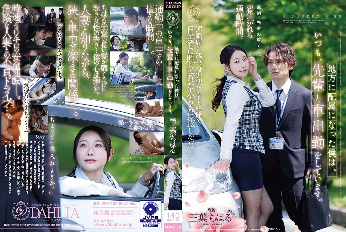 DLDSS558 cover